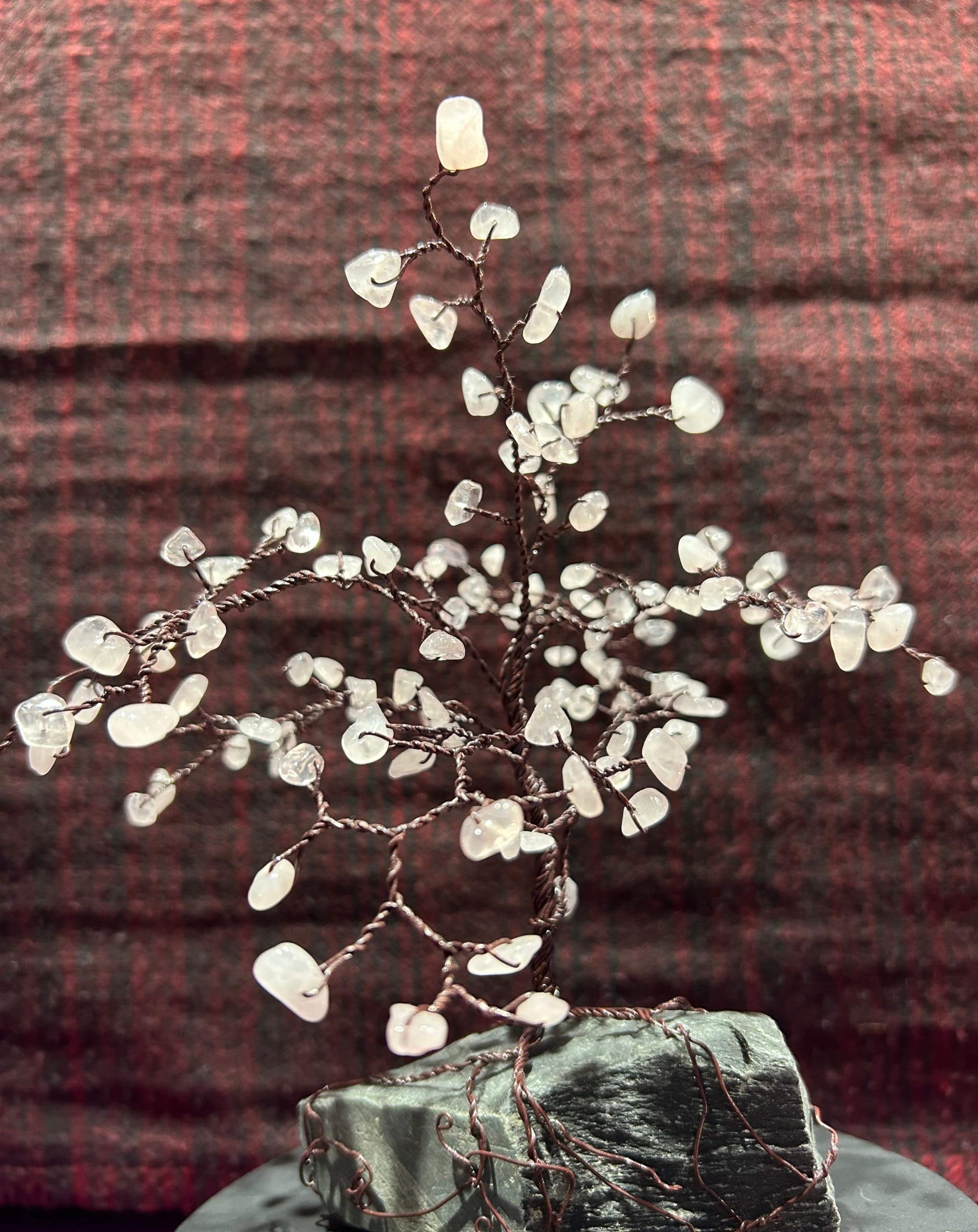 Winter Baum
